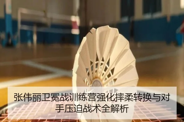 张伟丽卫冕战训练营强化摔柔转换与对手压迫战术全解析